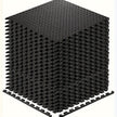 Interlocking Black EVA Fitness Mats Set (20pcs)