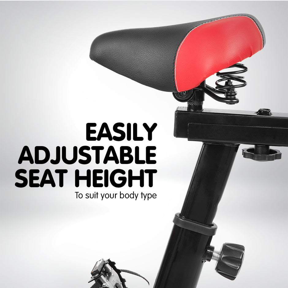 Powertrain Spin Bike – Heavy Flywheel | Adjustable Indoor Exercise Bike (Black)